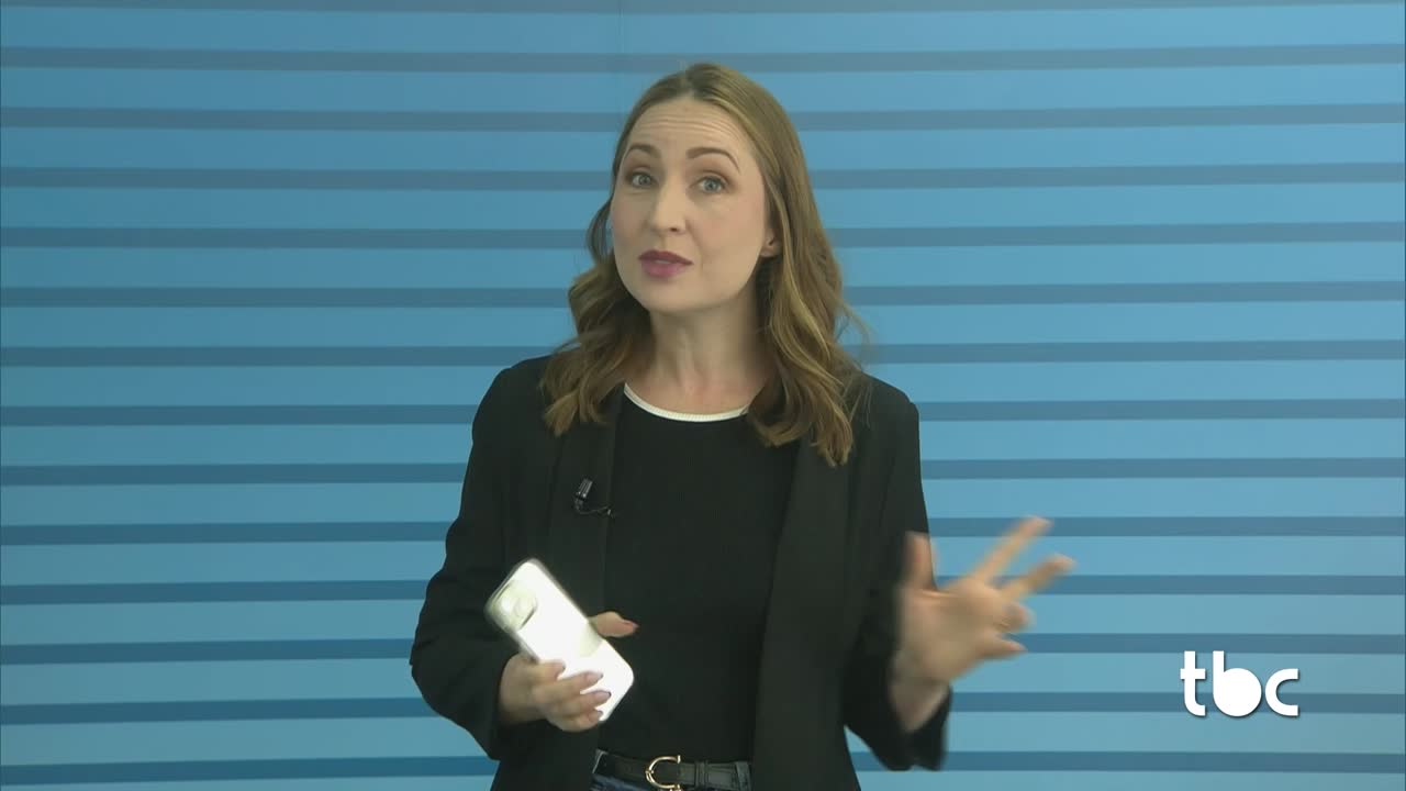 itemSaiba se os dias de Folia conta como Feriado