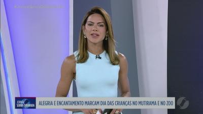 Onça-parda é atropelada e resgatada com vida em rodovia do interior