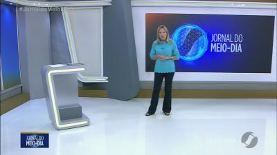 itemJiboia é encontrada dentro de carro