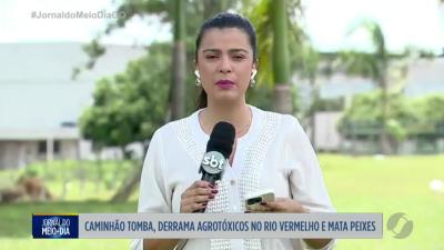 itemCaminhão tomba, derrama agrotóxicos no Rio Vermelho e mata peixes