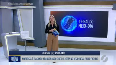 PC apreende quase 400 kg de maconha em Goi&acirc;nia