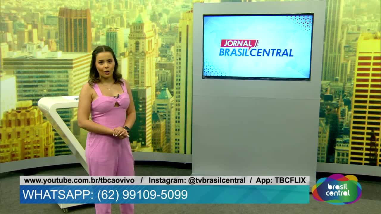 itemDois Filhotes de Onça Pintada são resgatados em Quirinópolis