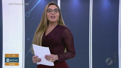 C&atilde;es furtam carne e viralizam em Trindade