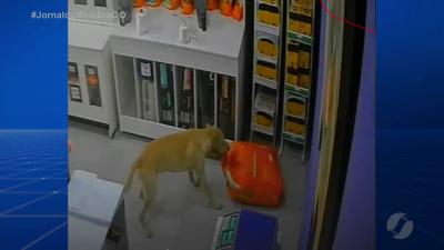 itemMomento descontração