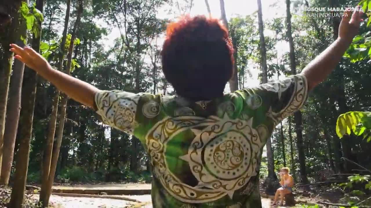 Dia da &aacute;rvore