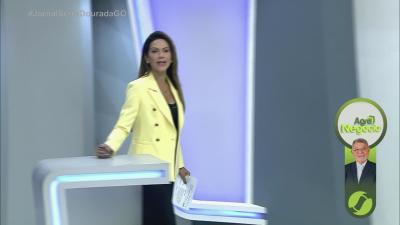 itemNorte e entorno do DF concentram maior risco de tempestades em Goiás