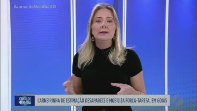 Carneirinha desaparece e mobiliza buscas em Goi&aacute;s