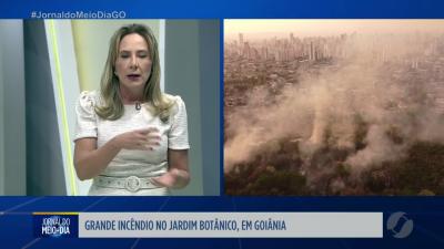 Incêndio atinge o Jardim Botânico em Goiânia