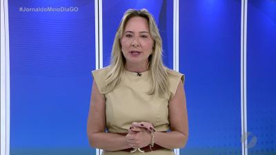 itemCachorrinha desaparecida em Goiânia