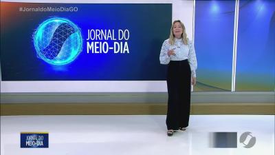 Filhote de jiboia &eacute; resgatado no centro de Quirin&oacute;polis