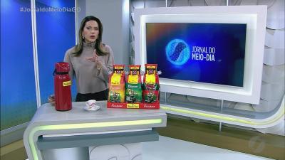 Plantio de mudas de &aacute;rvores ligado &agrave; prova de MotoGP