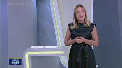 Gatinho espera por um lar e emociona em Goi&acirc;nia